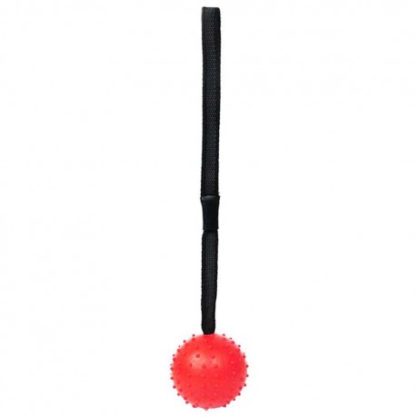 Pet Ball Bite Resistant Tooth Cleaning Toys for Dog Training Chewing(Red S)