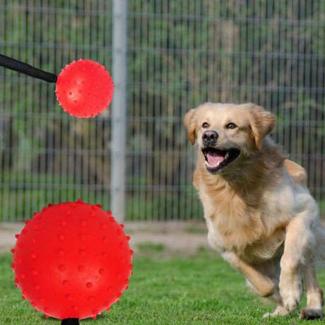 Pet Ball Bite Resistant Tooth Cleaning Toys for Dog Training Chewing(Red S)