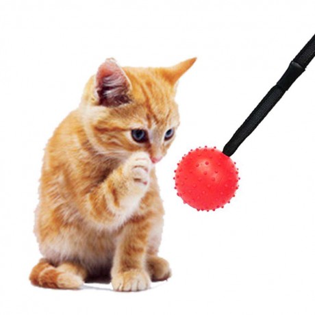 Pet Ball Bite Resistant Tooth Cleaning Toys for Dog Training Chewing(Red S)