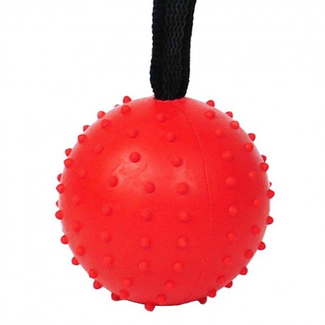 Pet Ball Bite Resistant Tooth Cleaning Toys for Dog Training Chewing(Red S)