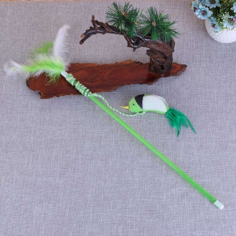 Pet Teaser Feather Stick Cats Catch Interactive Train Wand Toys (Green Bird