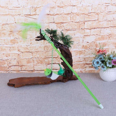 Pet Teaser Feather Stick Cats Catch Interactive Train Wand Toys (Green Bird