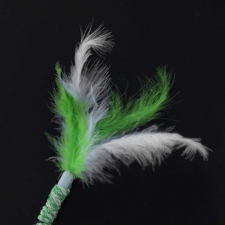 Pet Teaser Feather Stick Cats Catch Interactive Train Wand Toys (Green Bird