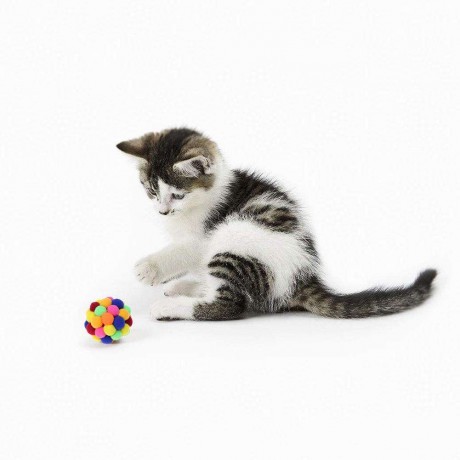 Built-in Catnip Cat Colorful Bell Bouncy Ball Pet Interactive Catch Toy (S)