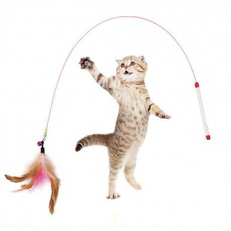 Pet Cat Feather Bell Rod Kitten Teaser Stick Interactive Funny Playing Toys