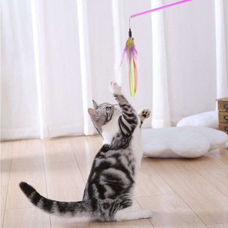 Pets Cats Feathers Pendant Teasing Rod Wand Scratch Interactive Stick Toys