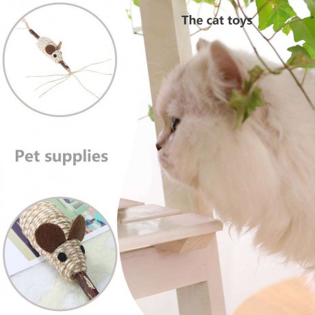 Pet Cat Feather Catcher Molar Cleaning Teeth Supply Interactive Playing Toy