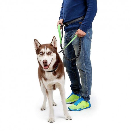 Nylon Dogs Leash Pet Training Walking Safety Dog Leads Adjustable Rope