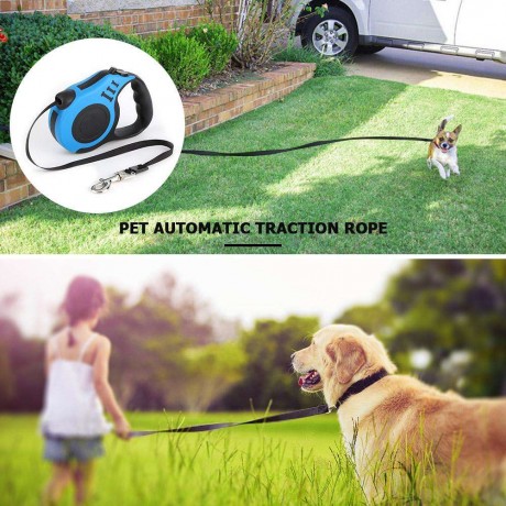 Automatic Retractable Dog Pet Leash Cat Puppy Auto Traction Rope (Blue 3m)