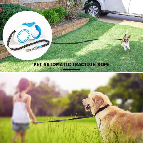 Dog Pets Automatic Retractable Leash Puppy Nylon Traction Rope (3m Blue)