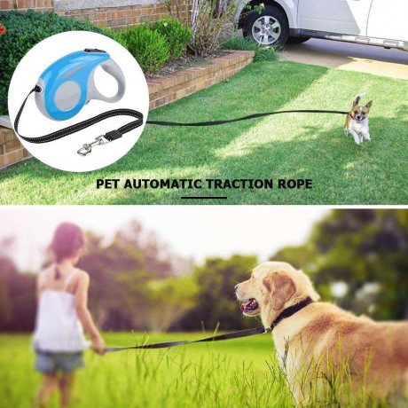 3M Automatic Retractable Dog Lead Leash Puppy Extending Traction Rope (Blue