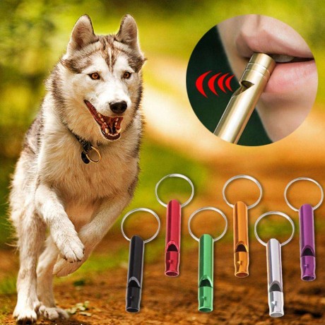 Portable Pet Dog Training Whistle Aluminum Puppy Stop Barking Sound Flute